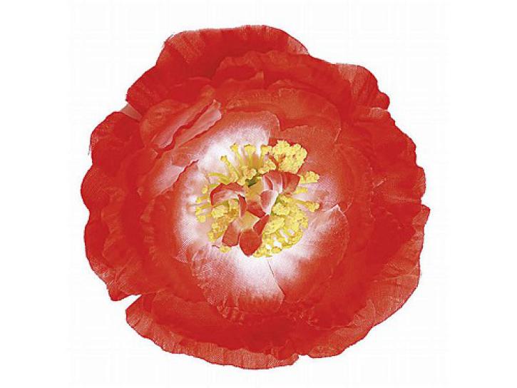 Hawaii Blume rot mit Clip