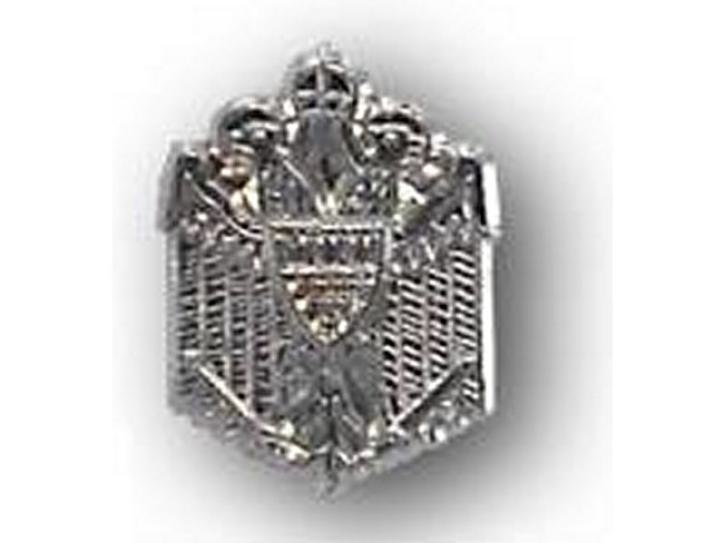 Karnevals Pin Adler mit Wappen, vernickelt