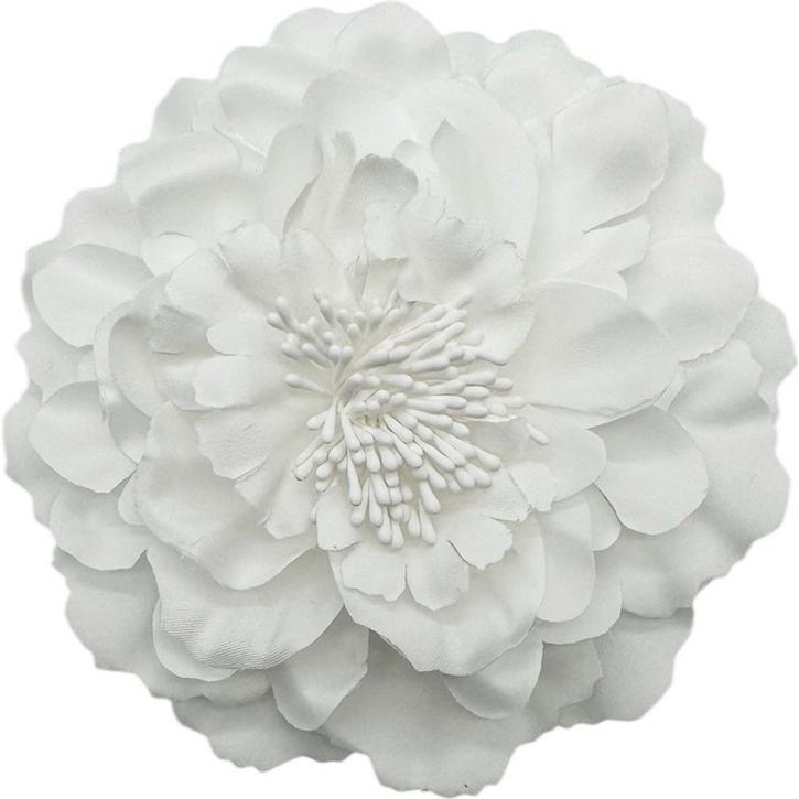 Ansteckblume Chrysantheme weiß