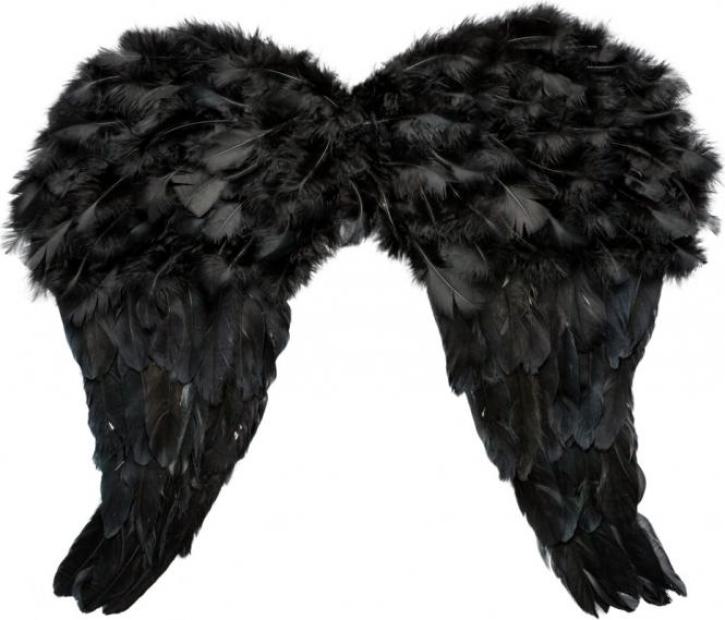 Federflügel, schwarz 40cm