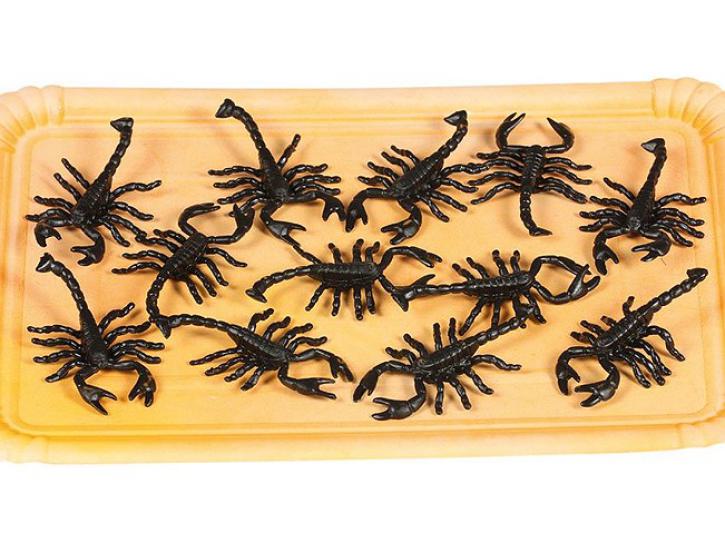 Skorpionen schwarz 12  Stck.