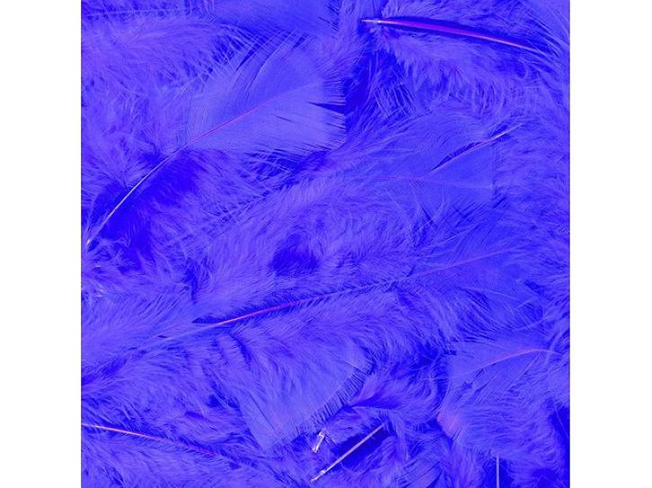 Federn blau 100 Stk.