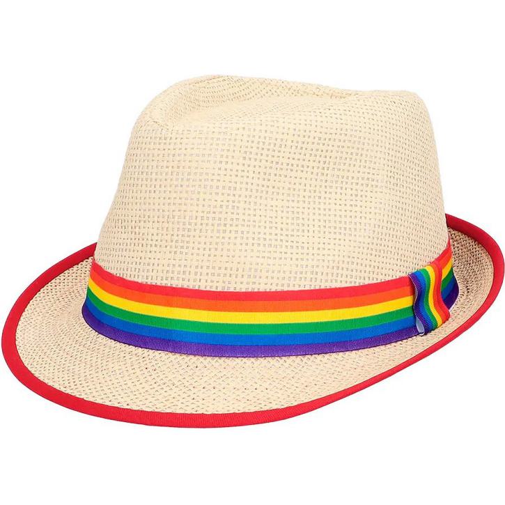 Hut Stroh Regenbogen