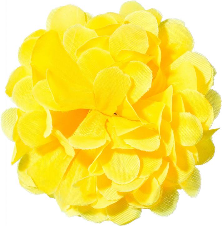 Ansteckblume Chrysantheme gelb