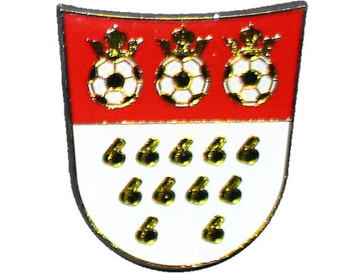 Karnevalspin Kölner Wappen